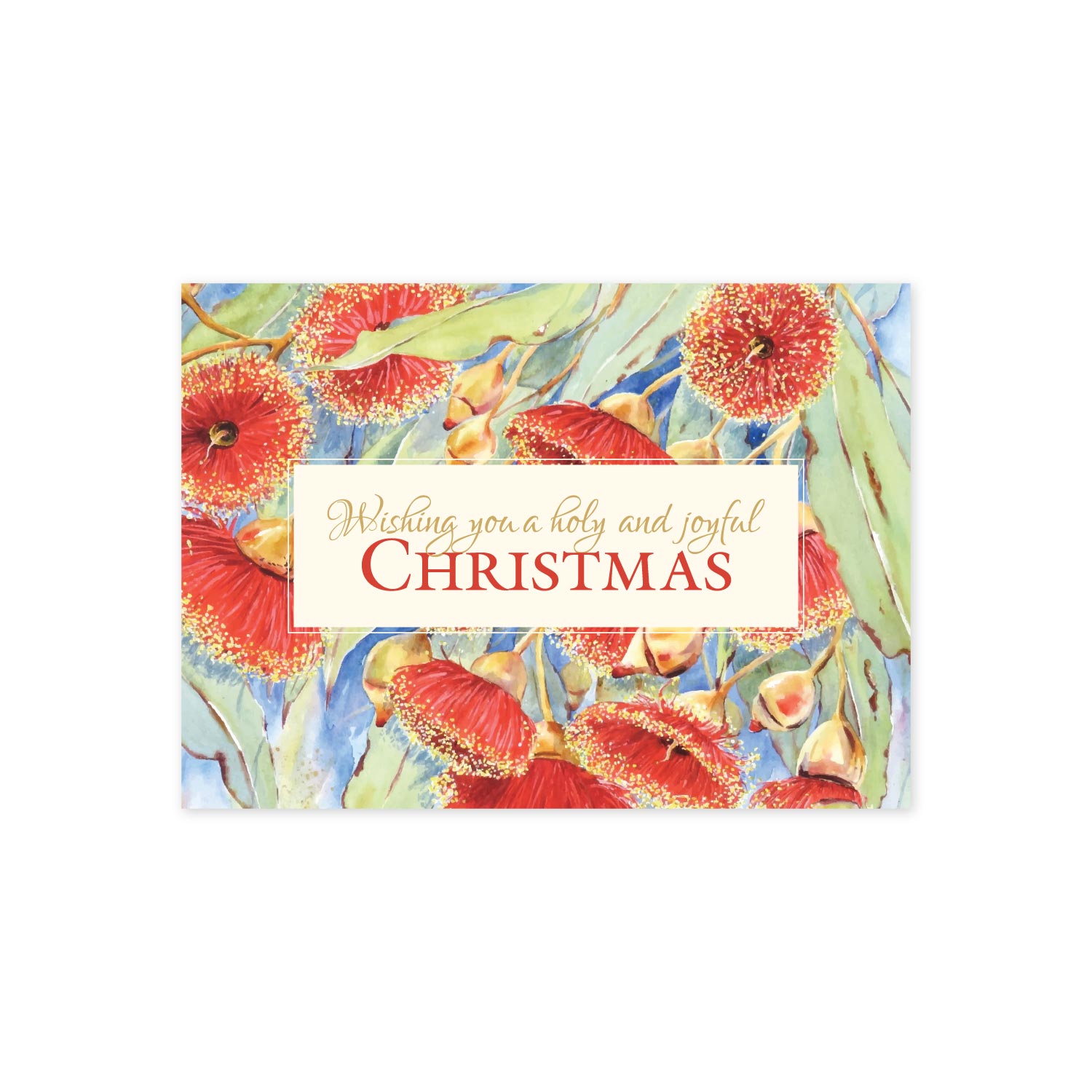 Flowering Gum Christmas (Pack of 10)