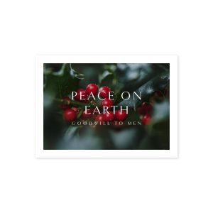 Peace on Earth Christmas (Pack of 10)