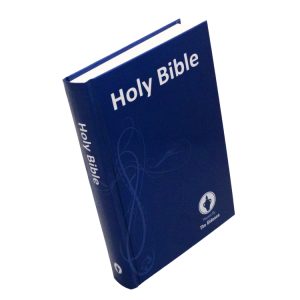 Carton of 20 Blue Bibles